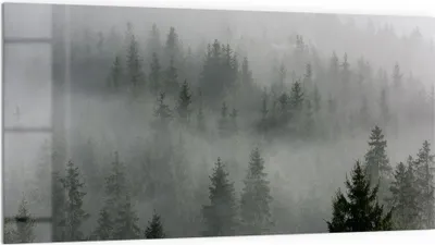 Produktbild von DEQORI Küchenrückwand Glas 100x50 cm 'Nebelwaldmystik' Spritzschutz Bad Rückwand Küche
