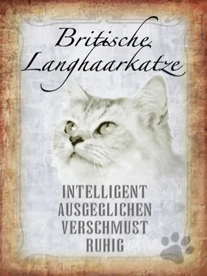 Produktbild von vianmo Holzschild 40x30 cm britische Langhaarkatze