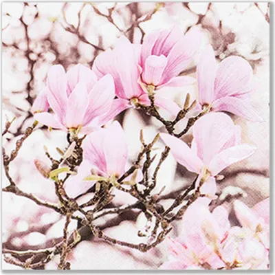 Produktbild von 20 kleine Cocktailservietten Pink Magnolia - Blühende rosa Magnolien 25x25cm