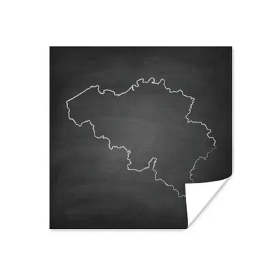 Obrázok produktu pre MuchoWow® Plagát - Čiernobiela ilustrácia Belgicka na tabuli - 100x100