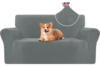 Immagine prodotto di Copridivano in velluto, 2 posti, grigio chiaro, elasticizzato, antiscivolo, ideale per chi ha animali domestici