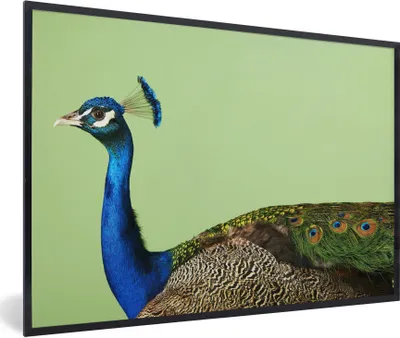 Produktbild von MuchoWow® Gerahmtes Poster Pfau - Vogel - Federn 90x60 cm - Poster mit Schwarzem Bilderrahmen Wandposter Rahmen Foto Bilder - Fotorahmen - Foto-Plakat