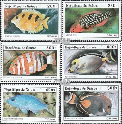 Produktbild von Briefmarken Guinea 1997 Mi 1645-1650 (kompl.Ausg.) postfrisch Fische