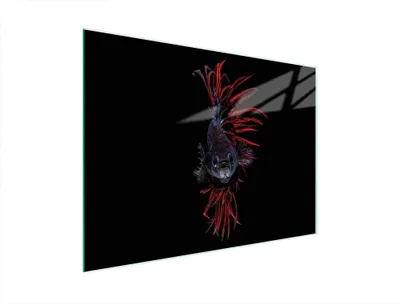 Produktbild von Glas Schneidebrett 40x30 cm Fischdesign mit rutschfesten Füßen, hygienisch und robust