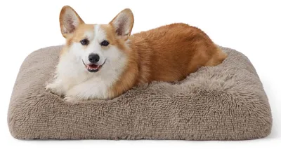 Image de Lit pour chien, lavable, moelleux, 74x53 cm, couleur camel