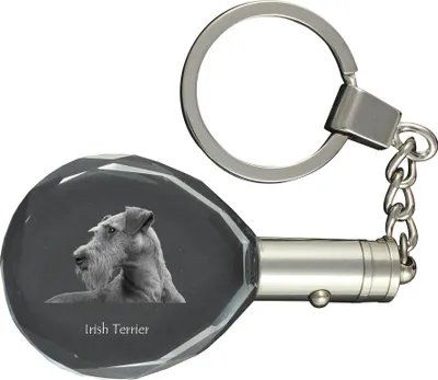Produktbild von Irischer Terrier, Irish Terrier - Anhänger mit einem Foto eines Hundes, Schlüsselanhänger aus Kristall in einer Geschenkbox, ein einzigartiges Geschenk von Art-Dog