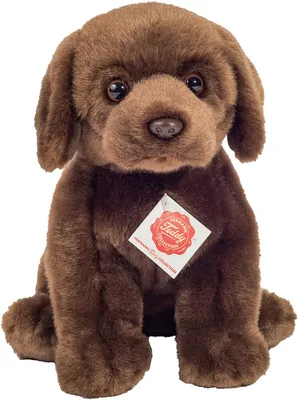 Produktbild von Labrador sitzend dunkelbraun, ca. 25cm