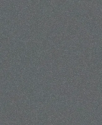 Produktbild von PRO C355 Schleifrolle, 230 x 280 mm, 180