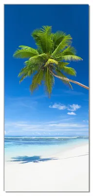 Produktbild von Wallario selbstklebende Türtapete 100 x 220 cm mit Schutzlaminat - Weißer Sandstrand am Meer - Ein Traum unter Palmen