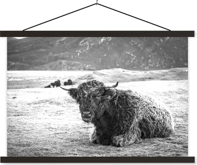 Produktbild von MuchoWow® Textilposter Schottisches Hochlandrind - Berg - Tiere 60x40 cm mit schwarzem Rahmen - Hölzernes