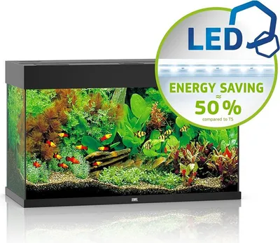 Produktbild von JUWEL Rio 125 LED schwarz - Aquarium Juwel