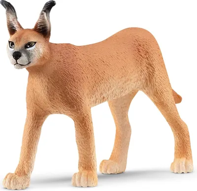 Produktbild von Schleich Wild Life - Karakalweibchen, Figur für Kinder ab 3 Jahren