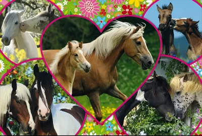 Image de Amour de cheval, puzzle de 100 pièces