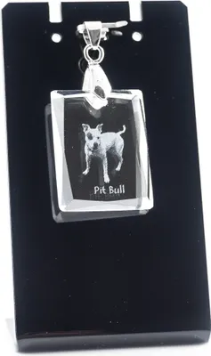 Obrázek produktu pro Pitbul - Křišťálový přívěsek se psem, náhrdelník s fotografií, jedinečné šperky od Art-Dog