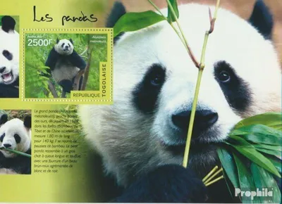 Produktbild von Briefmarken Togo 2014 Mi Block 1047 (kompl. Ausgabe) postfrisch Pandas