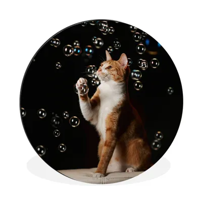 Produktbild von MuchoWow® Aluminium Wandkreis Rote Katze mit Blasen Ø 60 cm Wanddeko Modern Wohnzimmer - Wand Kreis - Wandbild - Schlafzimmer - Aluminium Bild - Kinderzimmer - Wohnzimmer Dekoration - Wandschmuck