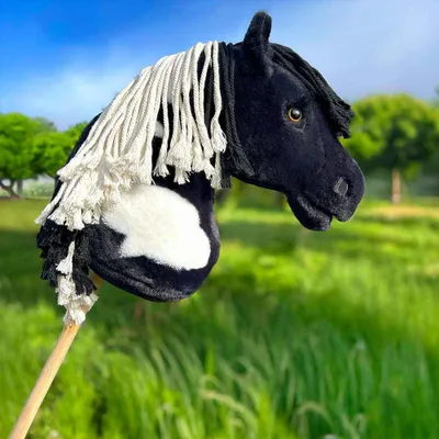 Image de Hobby Horse Pie Noir avec crinière noire et blanche - Taille A3