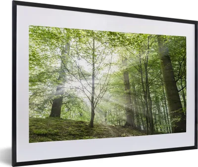 Produktbild von MuchoWow® MuchoWow® Gerahmtes Poster Wald - Bäume - Sonne 60x40 cm - Poster mit zchwarzem Bilderrahmen - Schlafzimmer - Plakat in Rahmen - Drucken