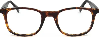 Produktbild von Polaroid Sonnenbrille PLD D424 086 50 21 145