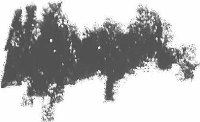Produktbild von BENECOS GREY Kajalstift