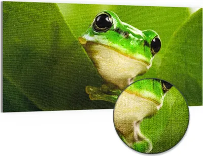 Produktbild von DEQORI Hybrid Leinwand Bild 100x50 cm 'Grüner Lauschposten' Wandbild Glas flach modern