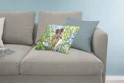 Produktbild von MuchoWow® Zierkissen Sofakissen Wohnzimmer Dekokissen 60x40 cm Koala - Luft - Zweige - Kinder - Jungen - Mädchen - Kopfkissen - Polster mit Foto