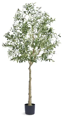 Produktbild von Olivenbaum Künstlich, Kunstpflanze PE, Kunstbaum Zimmerpflanze, Grün | 81×81×179 cm | 1.224 Blätter | geruchlos, wasserdicht