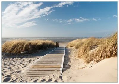 Produktbild von Wallario Premium Glasbild, freischwebende Optik, kräftige Farben, Größe 100 x 70 cm Motiv Auf dem Holzweg zum Strand