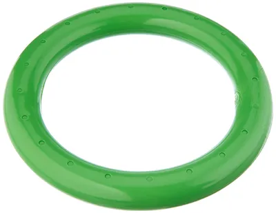 Zdjęcie produktu dla BECO-Beermann 9607-8, Pierścień do nurkowania, Zielony
