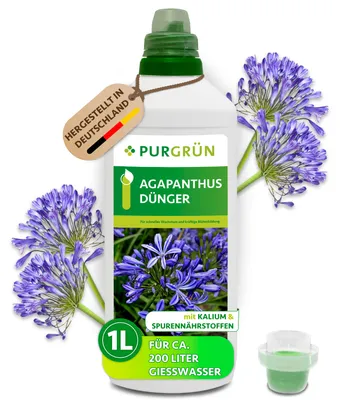 Produktbild von Purgrün Agapanthus Dünger | Flüssigdünger für Blütenpracht | 1L