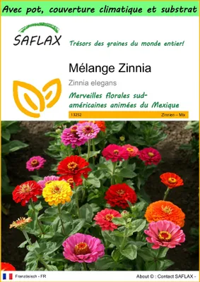 Image de SAFLAX Garden to go - Mélange Zinnia - 50 graines - Zinnia