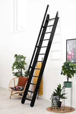 Produktbild von Minka Wangentreppe Flexiblo 300cm max. Geschosshöhe Schwarz