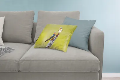 Produktbild von MuchoWow® Zierkissen Sofakissen Wohnzimmer Dekokissen 60x40 cm Vögel - Zweig - Porträt - Kopfkissen - Polster mit Foto