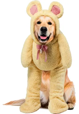 Produktbild von Rubie's Official Laufender Teddybär-Haustierkostüm, Größe L