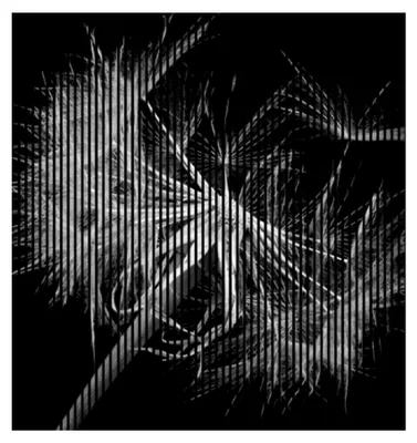 Produktbild von Akustikpaneele mit Digitaldruck Pusteblume01 19 x 2253 x 2400 mm Pusteblume MDF PET-Fasern Wandpaneele Weiß Schwarz 4 Einzelplatten