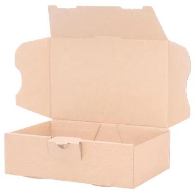 10 Maxibriefdozen 160x110x50 mm braun Versandkarton MB-1