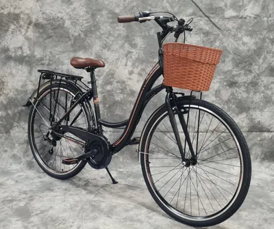 Produktbild von 28 Zoll Damencityrad 21-Gang Shimano Kettenschaltung, Gepäckträger, Licht und Korb NEU 2810-SCHWARZ (2024)