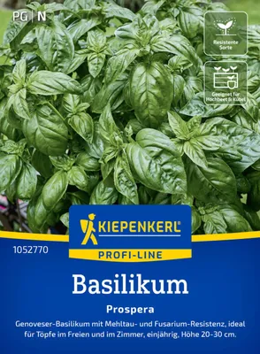 Produktbild von Kiepenkerl Profi-Line Saatgut Basilikum Prospera F1 für ca. 50 Pflanzen