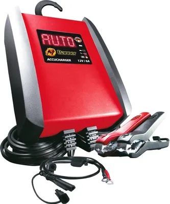 Image de Chargeur Banner ACCUCHARGER 12V, 6A