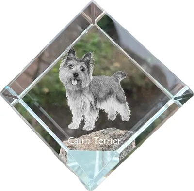 Immagine prodotto di Cairn Terrier dado di cristallo con cane Art-Dog