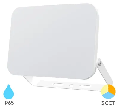 Produktbild von Braytron LED Flutlichtstrahler 50W, IP65, 3CCT, gleichmäßiges Licht ohne sichtbare LEDs, Außenstrahler für Hof, Parkplatz und große Flächen