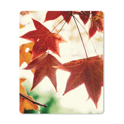 Produktbild von MuchoWow® Mauspad Mousepad Herbstblätter - November - Natur - Bäume 30x40 cm - Mousepads - Maus Mat - Pad - Mausunterlage - Mausmatten