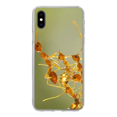 Produktbild von MuchoWow® Handyhülle Schutzhülle Hülle für iPhone Xs Ameisen - Orange - Tiere Silikon Softcase Handy Hülle - Handytasche