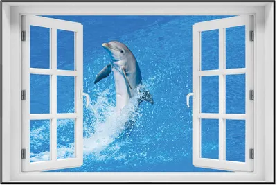 Produktbild von Wallario Wandbild mit Fenster-Illusion: Fröhlicher Delfin im blauen Wasser, Größe: 61 x 91,5 cm, Poster mit schwarzem Aluminiumrahmen