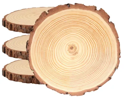 Image de Lot de 4 pièces en bois naturel pour projets créatifs