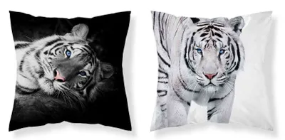 Obrázok produktu pre DETEXPOL Obliečka na vankúš Tiger čiernobiely micro Polyester, 40/40 cm