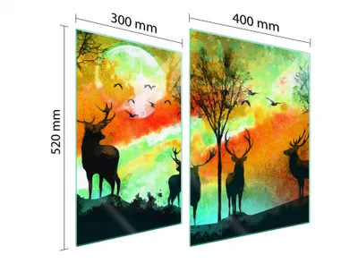 Produktbild von Glasschutzplatte Für Herd 70X52 Hirsch