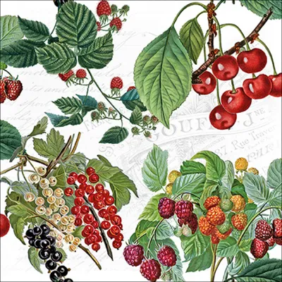 Produktbild von Servietten Papier 33x33cm 3-lag. mit Beeren & Kirschen Motiv 20 Stück