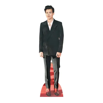 Produktbild von Harry Styles - Red Shoes - Star VIP - Mini Pappaufsteller Standy - 24x90 cm