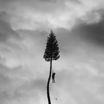 Produktbild von Manchester Orchestra - A Black Mile to the Surface CD